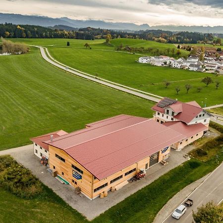 Bodensee Apartment Allgaeu Alpenblick Ванген-им-Альгой Экстерьер фото